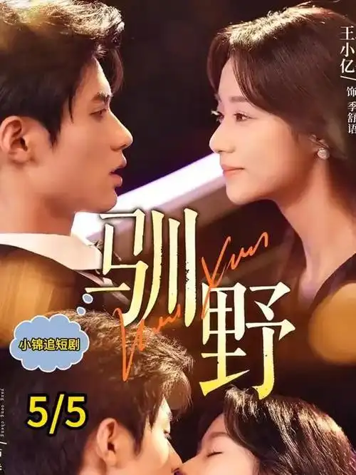 云上法庭 热播电视剧全集免费观看